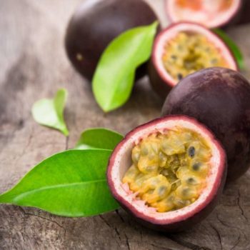 passion fruit passion fruit